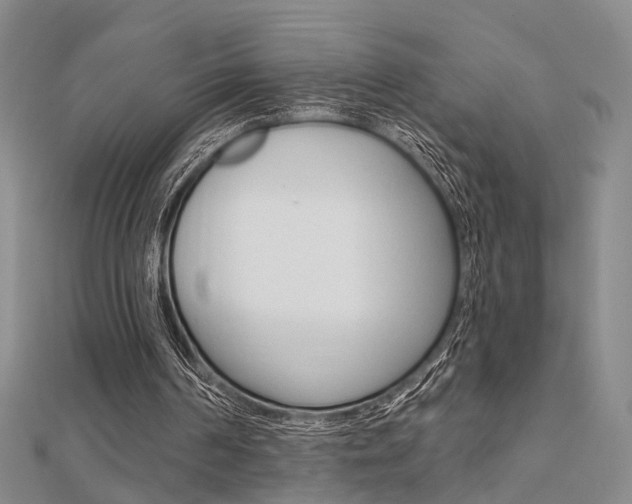 X0000112160194200908070945