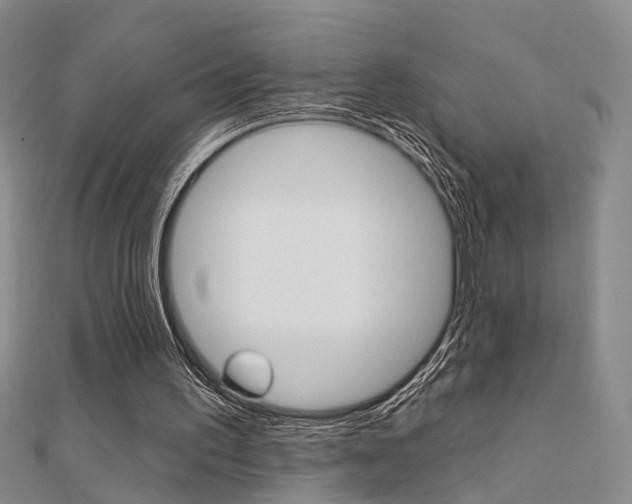 X0000112160195200908070945