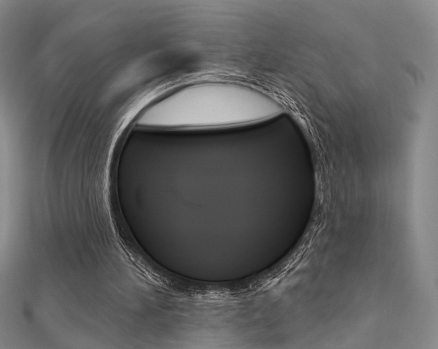 X0000112160196200908070945