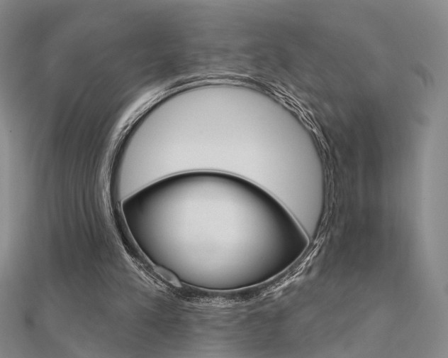 X0000112160197200908070945