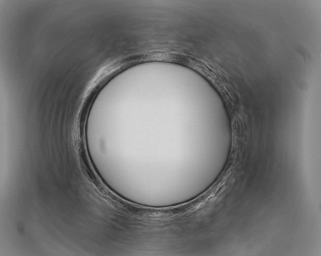 X0000112160198200908070945