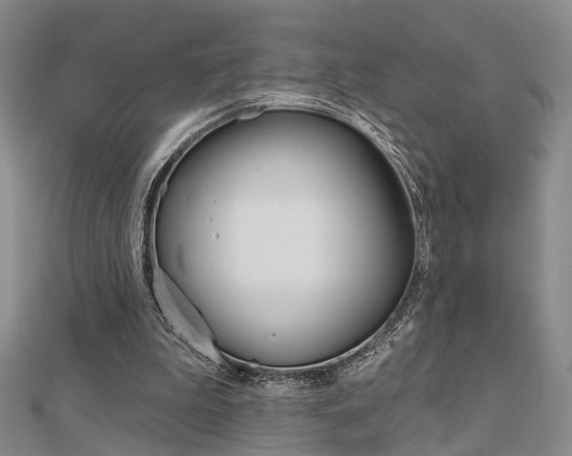 X0000112160199200908070945