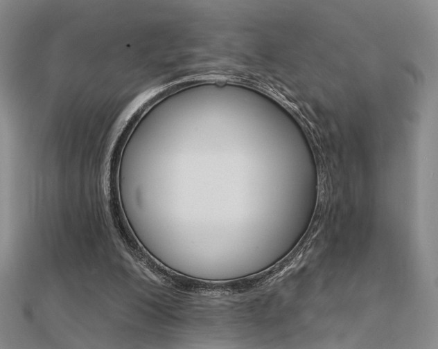 X0000112160200200908070945