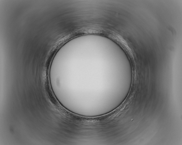 X0000112160202200908070945