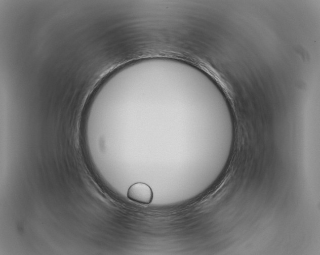 X0000112160203200908070945