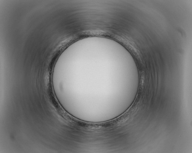 X0000112160206200908070945