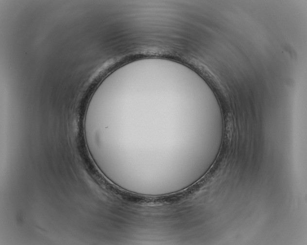 X0000112160208200908070945