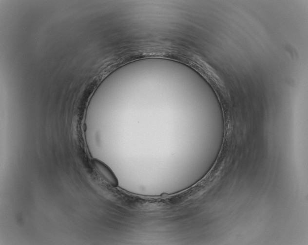 X0000112160209200908070945