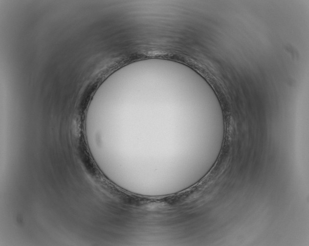 X0000112160210200908070945