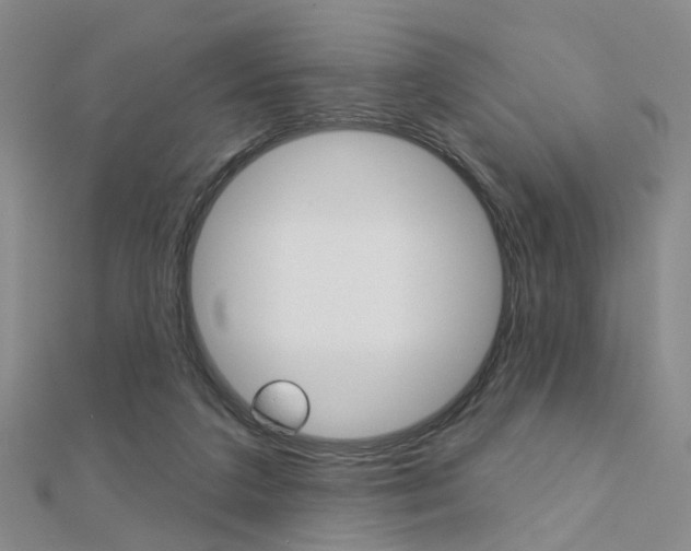 X0000112160211200908070945