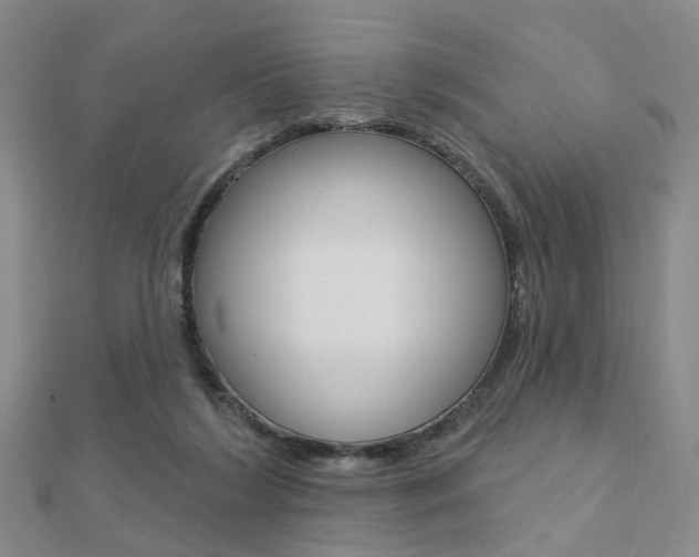 X0000112160212200908070945