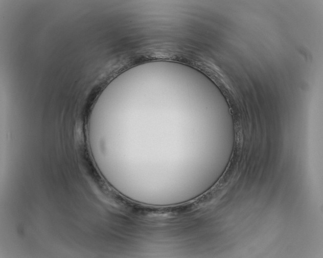 X0000112160213200908070945