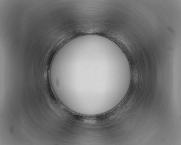 X0000112160214200908070945