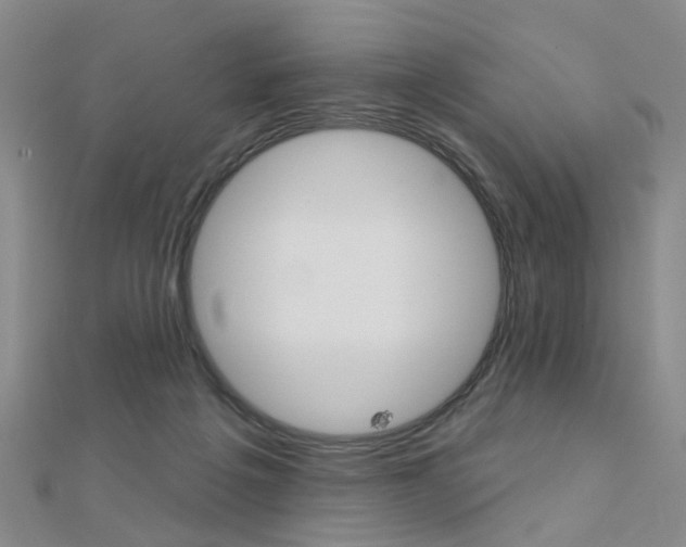X0000112160217200908070945