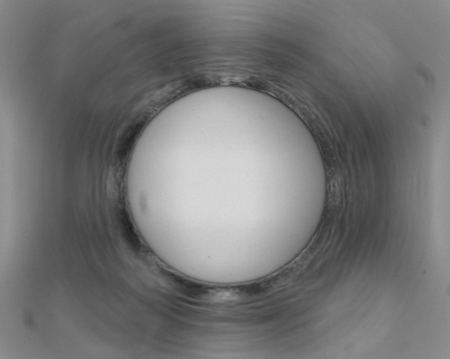 X0000112160218200908070945