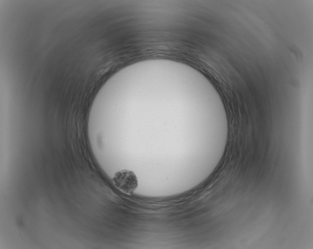 X0000112160219200908070945