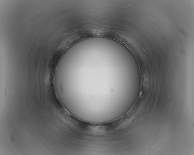 X0000112160221200908070945