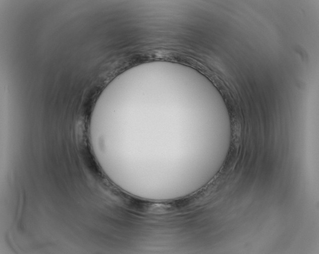 X0000112160222200908070945