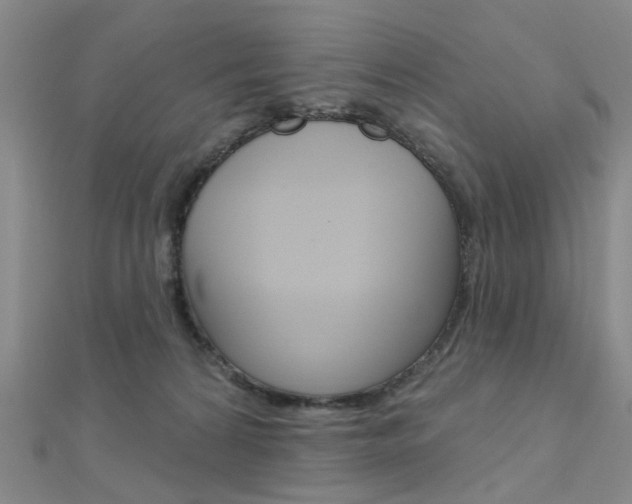 X0000112160224200908070945