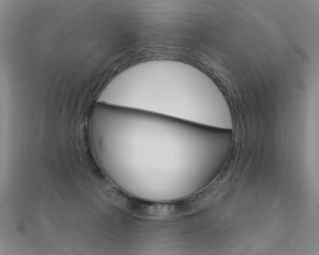 X0000112160225200908070945