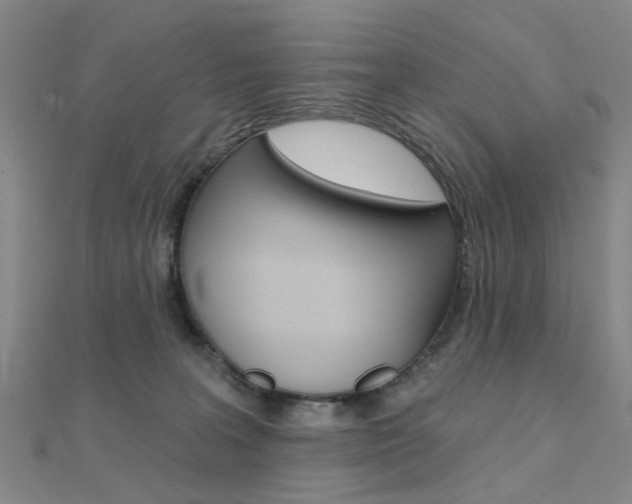 X0000112160227200908070945