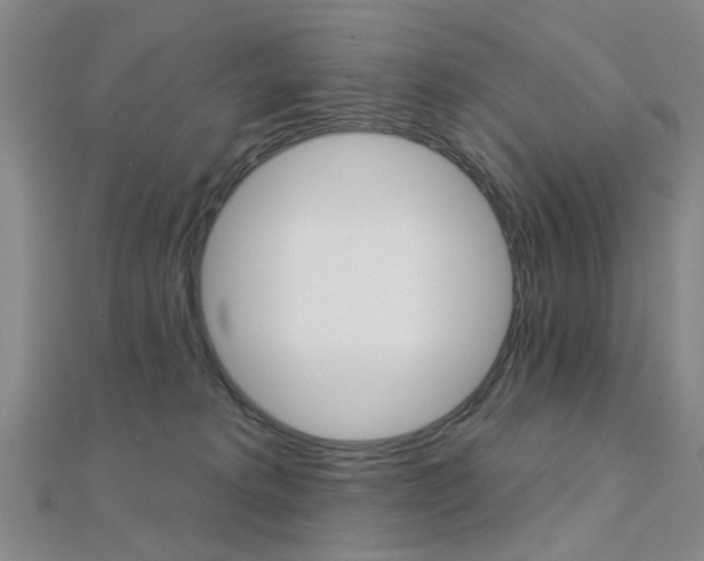 X0000112160229200908070945