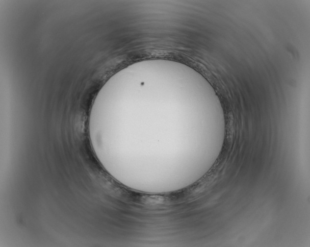X0000112160230200908070945