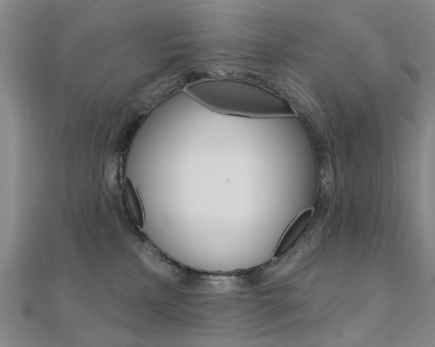 X0000112160233200908070945