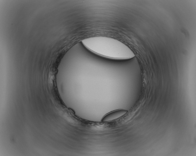 X0000112160235200908070945