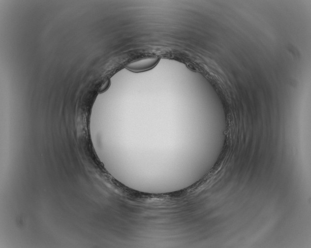 X0000112160236200908070945