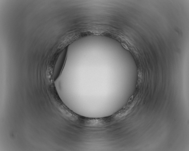 X0000112160237200908070945