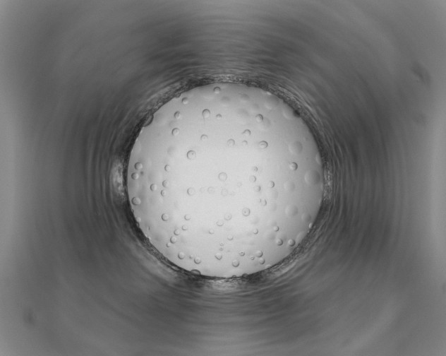 X0000112160238200908070945