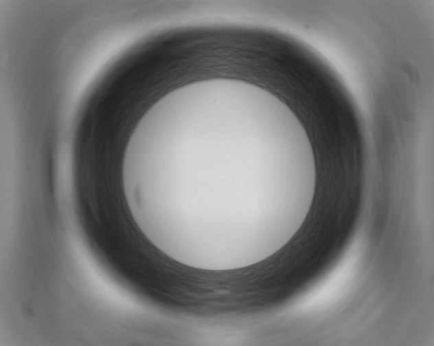X0000112160239200908070945