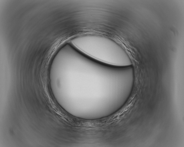 X0000112160241200908070944