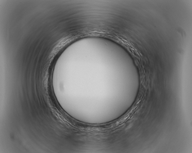 X0000112160242200908070944