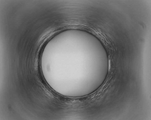 X0000112160243200908070944