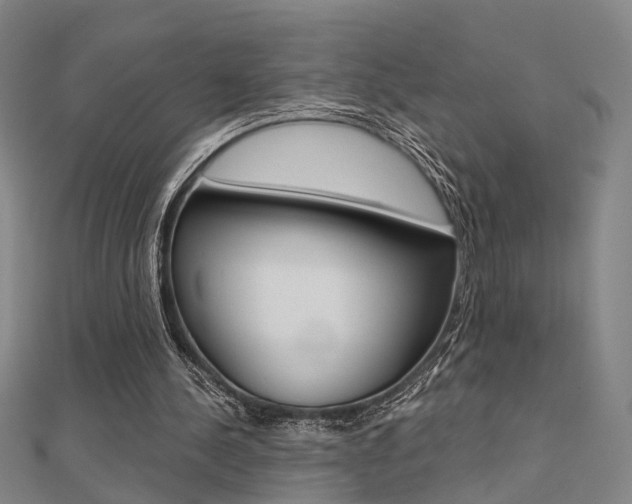 X0000112160244200908070944