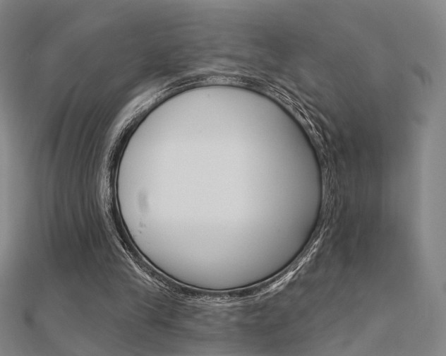 X0000112160245200908070944