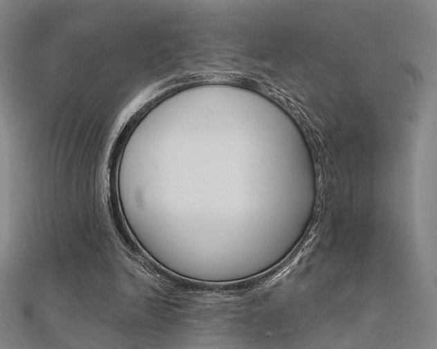 X0000112160246200908070944