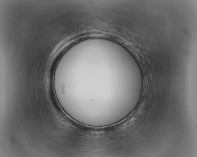X0000112160247200908070944