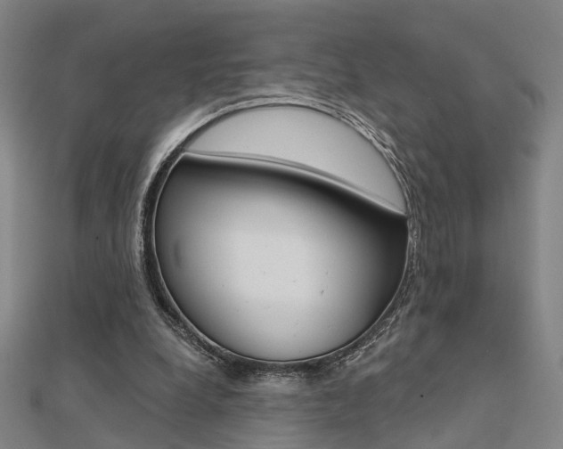 X0000112160248200908070944
