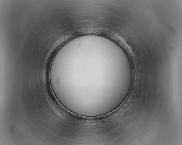 X0000112160250200908070944