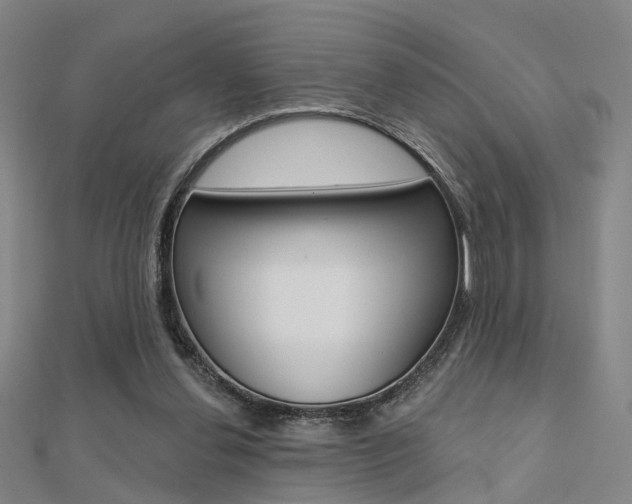 X0000112160252200908070944