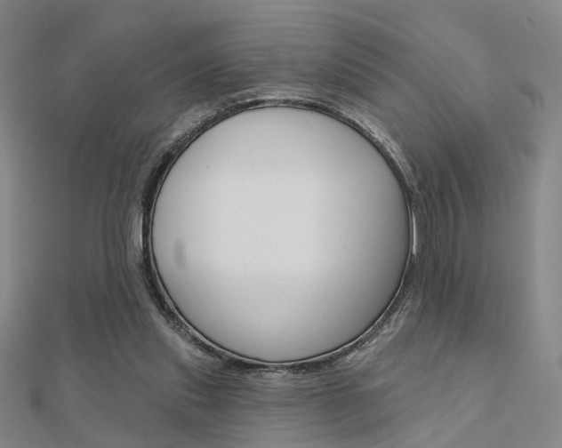X0000112160253200908070944