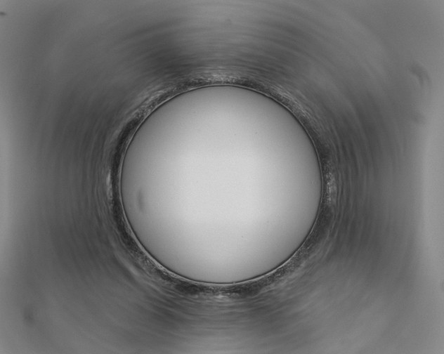 X0000112160254200908070944