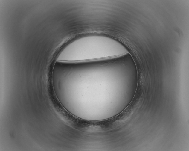X0000112160256200908070944