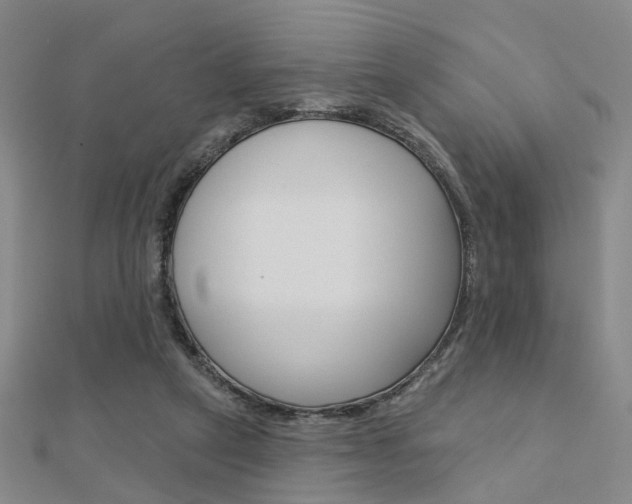 X0000112160257200908070944