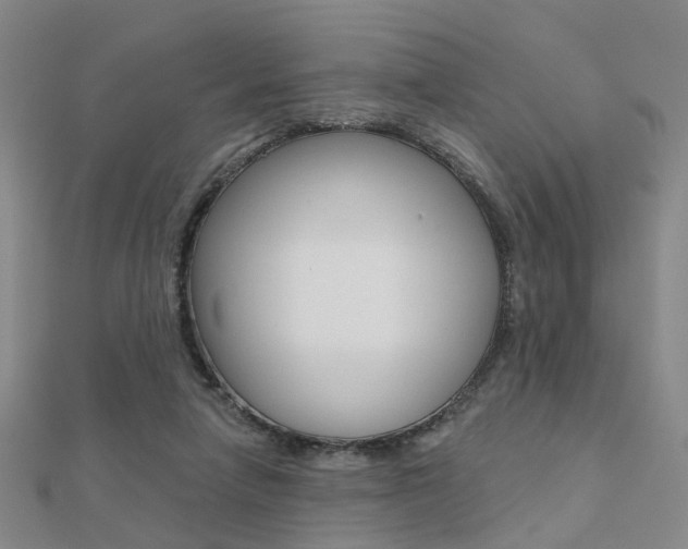 X0000112160258200908070944