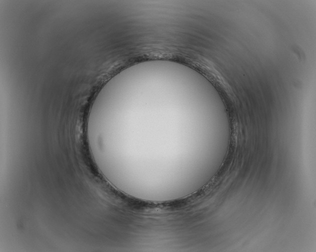 X0000112160259200908070944