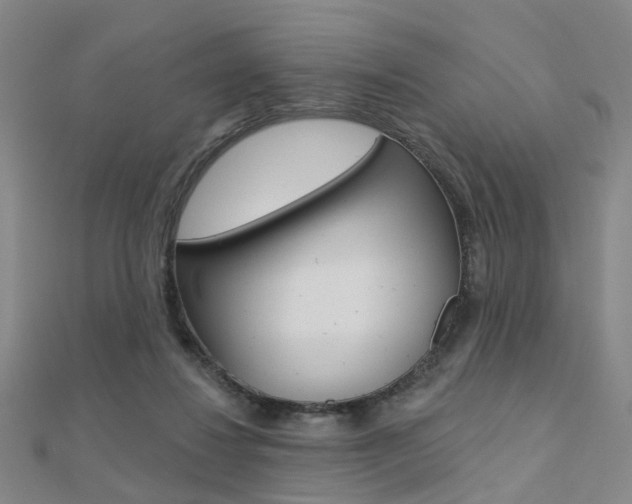 X0000112160260200908070944